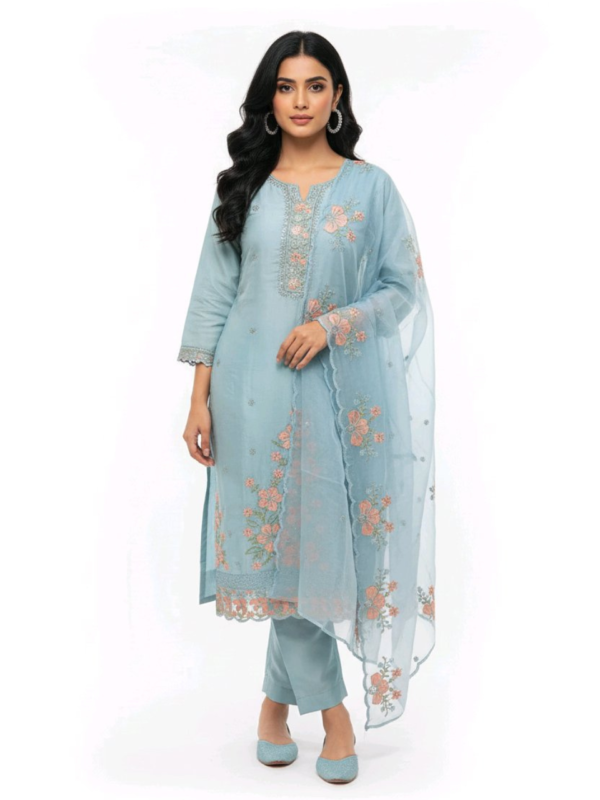 Organza Salwar Set